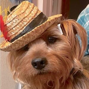 Meet your Posher, Doris